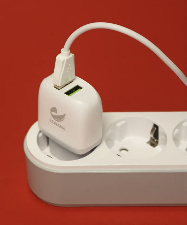 شارژر دیواری 12 وات لونارک مدل LW53C به همراه کابل USB-C