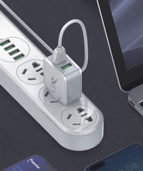 شارژر دیواری 12 وات لونارک مدل LW55C به همراه کابل USB-C