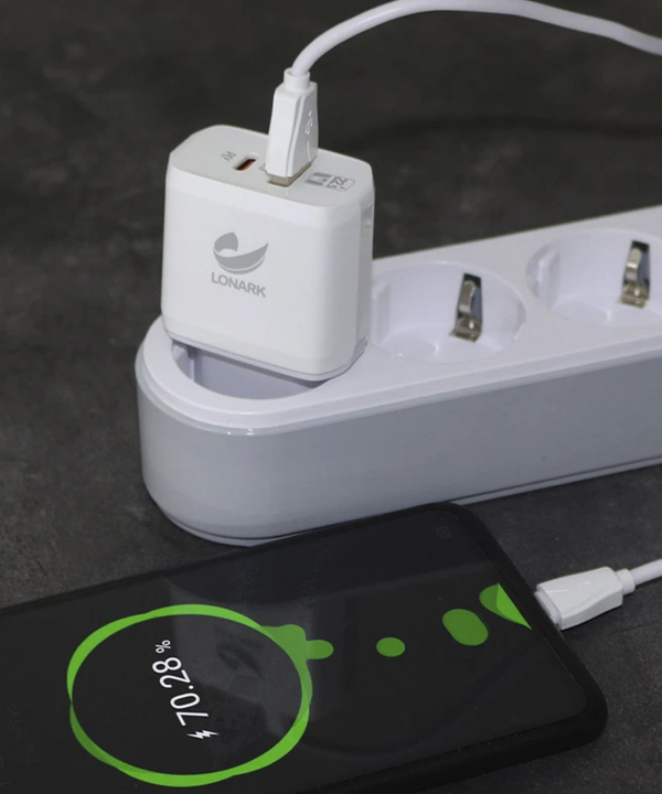 شارژر دیواری 22.5 وات لونارک مدل LW58 همراه با کابل USB-C
