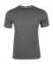 طوسی تیره