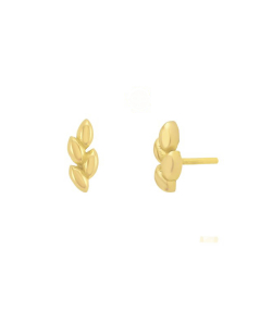 گوشواره گندم میوگلد Mio Gold کد E1526