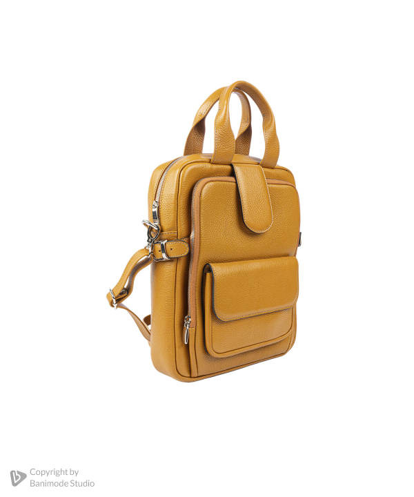 کیف چرم طبیعی بیسراک Bisrak مدل NL-Backpack-Aisel-F