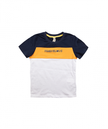 تیشرت پسرانه یقه گرد جین وست Jeanswest