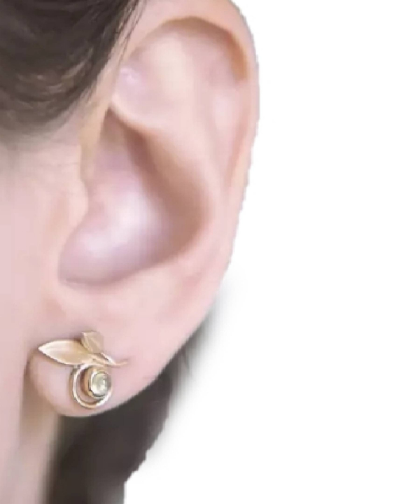 گوشواره برگ زیتون سری 2 دفینه Dafineh کد EJ1089