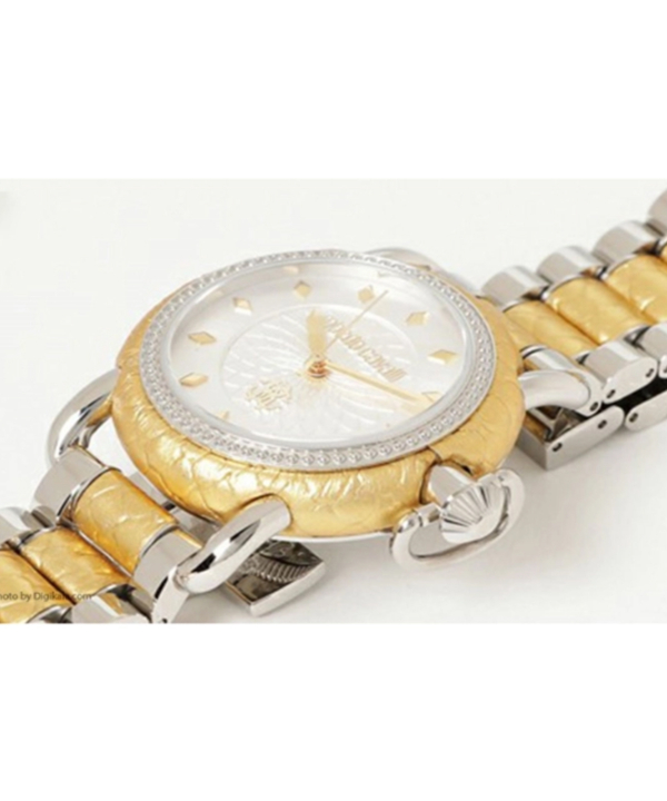 ساعت مچی روبرتو کاوالی Roberto Cavalli کد RV1L017M0101