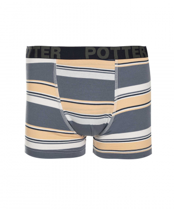 شورت پادار مردانه  مدل AM-POTTER-72 