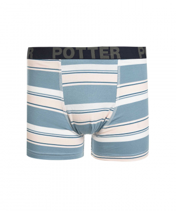 شورت پادار مردانه  مدل AM-POTTER-72 