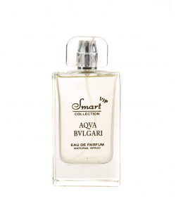 ادوپرفیوم مردانه اسمارت کالکشن Smart Collection مدل Aqva حجم 100 میلی لیتر