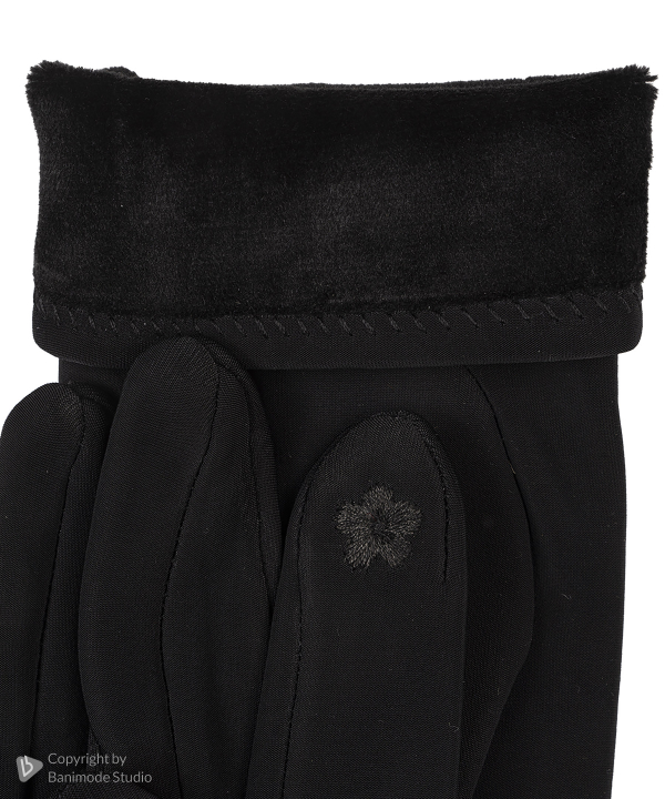 دستکش زنانه بیسراک Bisrak مدل Gloves-2562-3