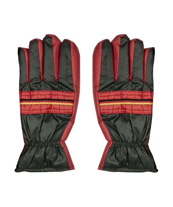 دستکش مردانه بیسراک Bisrak مدل Gloves-3895
