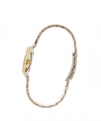 ساعت مچی زنانه رویال لندن Royal London مدل RL-21317-04