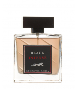 ادوپرفیوم مردانه وینکل Winkle مدل Black Intense حجم 100 میلی لیتر