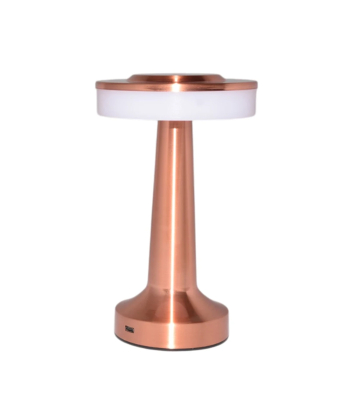 آباژور رومیزی چشمه نور مدل JN5022 کد 7749