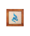 کرم