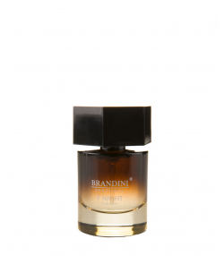 عطر جیبی مردانه برندینی Brandini مدل Y Night حجم 25 میلی لیتر