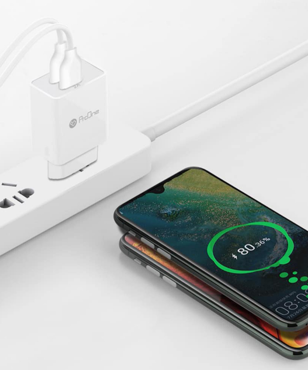شارژر دیواری پرووان مدل PWC520 به همراه کابل تبدیل microusb