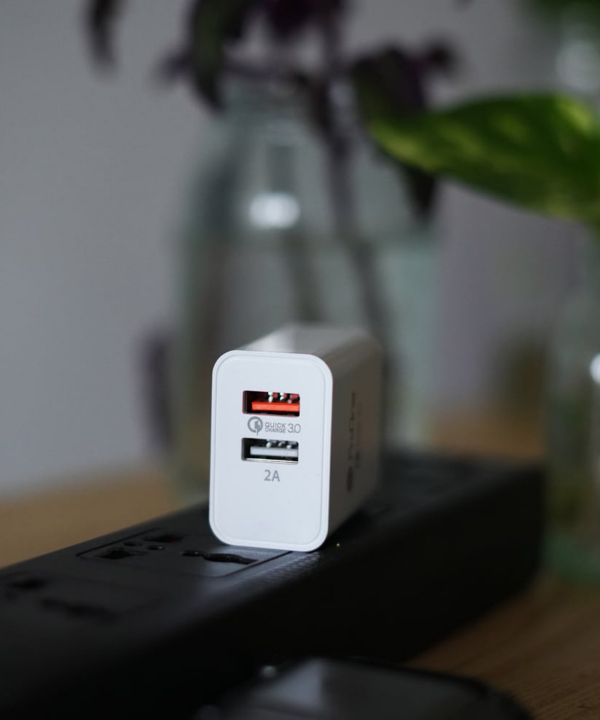 شارژر دیواری پرووان مدل PWC520 به همراه کابل تبدیل microusb