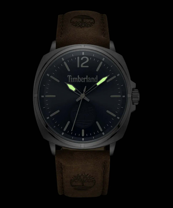 ساعت مچی مردانه تیمبرلند Timberland کد TDWGA0010603