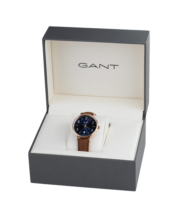 Gant phoenix watch top