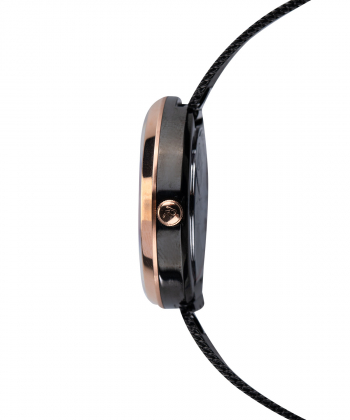 ساعت مچی زنانه رویال لندن Royal London مدل RL-21382-08