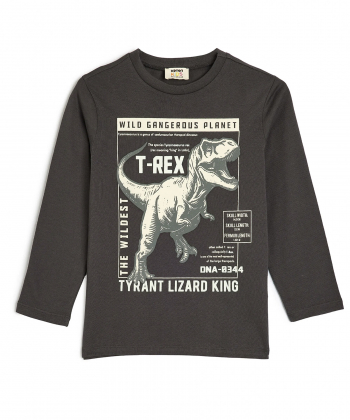 تیشرت آستین بلند پسرانه کوتون Koton کد 5WKB10113TK