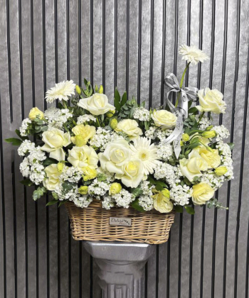 سبد دلوین Delvin کد 6010010000435