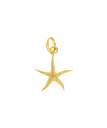 پلاک ستاره دریایی میوگلد Mio Gold کد N511