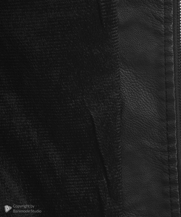 کاپشن مردانه وینترهارت WinterHart کد M2064012JC