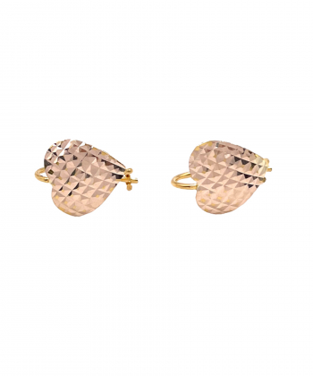 گوشواره کلیپسی رایا هماتیت گلد Hematite Gold کد 135840
