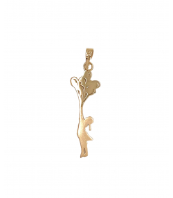 پلاک زیبا بیتا هماتیت گلد Hematite Gold کد 135929