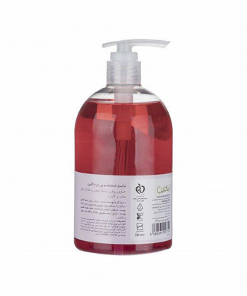 مایع دستشویی شفاف درماکلین Derma Clean با عصاره عناب و کاملیا حجم 500 میلی لیتر