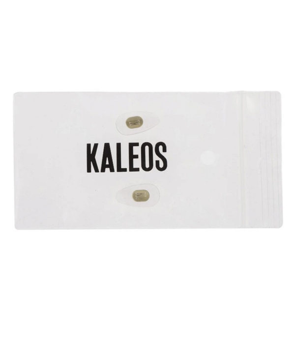 عینک آفتابی گرد کلؤس Kaleos مدل BORDENS 17425520