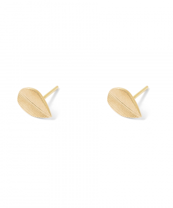 گوشواره طلا برگ دراسنا پرسته Parasteh کد 455068
