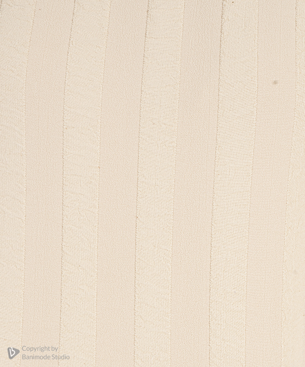 تاپ زنانه ال سی وایکیکی LC Waikiki کد W4T013Z8