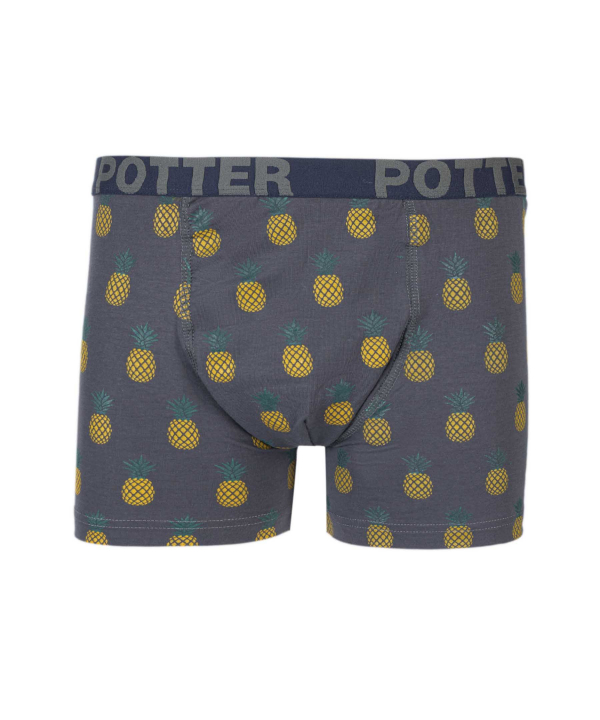 شورت مردانه پاتر Potter کد853