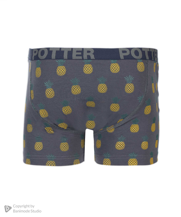 شورت مردانه پاتر Potter کد853