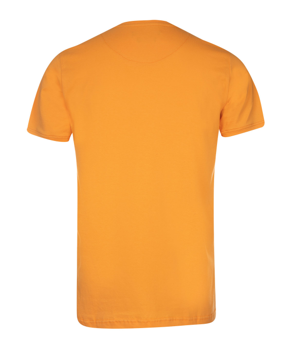 تیشرت مردانه یقه گرد جامه پوش آرا JPA