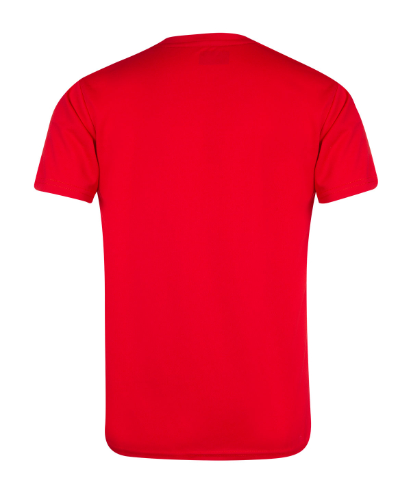 تیشرت ورزشی مردانه آلشپرت Uhlsport کد MUH368