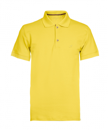 پولوشرت دو دکمه مردانه برندس Brands کد Br2266