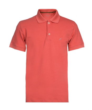 پولوشرت دو دکمه مردانه برندس Brands کد Br2266