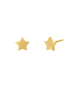 گوشواره ستاره میوگلد Mio Gold کد E1156