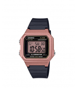 ساعت مچی کاسیو Casio مدل W-217HM-5AVDF