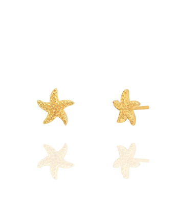 گوشواره طلا ستاره دریایی میوگلد Mio Gold کدE1522