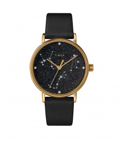 ساعت مچی زنانه تایمکس Timex مدل TW2T87600