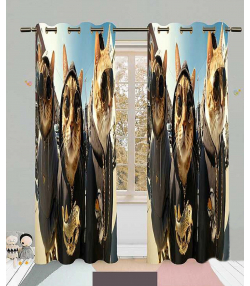 پرده نوپه هوم Nope Home مدل مخمل پانچی طرح گربه عینکی سایز 140x280