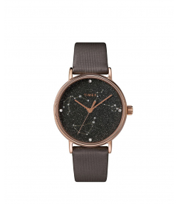 ساعت مچی زنانه تایمکس Timex مدل TW2T87700