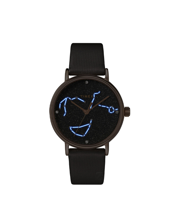 ساعت مچی زنانه تایمکس Timex مدل TW2T87700