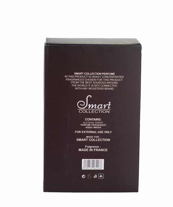 ادوپرفیوم مردانه اسمارت کالکشن Smart Collection مدل Terre D’Hermes حجم 100 میلی‌لیتر