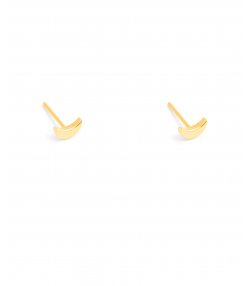 گوشواره طلا ماه پرسته Parasteh کد 489205