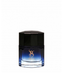 عطر جیبی مردانه برندینی Brandini مدل Pure Lx حجم 25 میلی لیتر